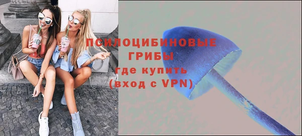 ECSTASY Карпинск