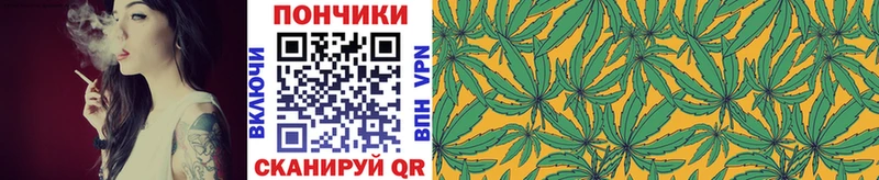 Бошки Шишки план  Купить где  Буйнакск 